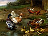Edgar Hunt Famous Paintings - Chickens, Ducks and Ducklings Paddling